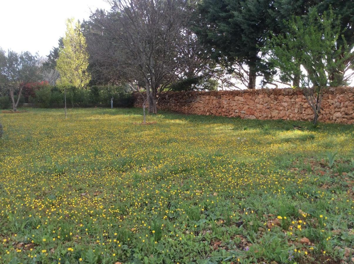 Villa Faro Provence Var Montfort-sur-Argens Luaran gambar